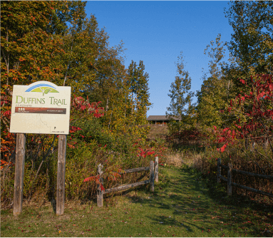 Northgate Trails Neighbourhood 6